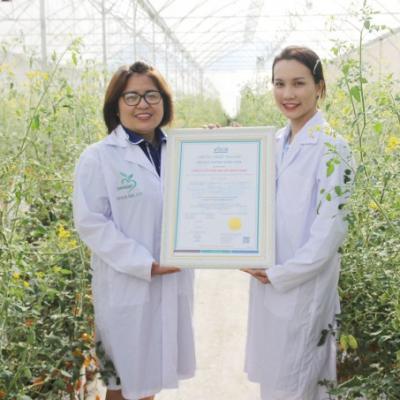 Tổ Chức Chứng Nhận VSCB Trao Chứng Nhận VietGAP Cho Công ty TNHH Ban Mê GREEN FARM